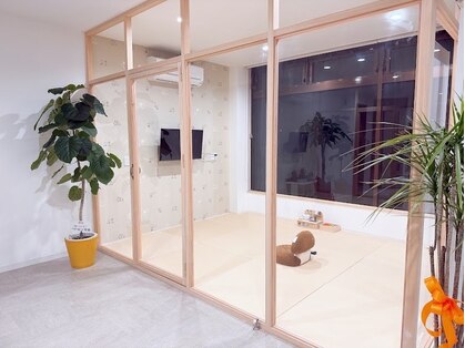 ラニ(Lani)の写真