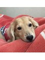 髪創&nbsp;愛犬のくうもインスタに登場するので見てみてください(^^)