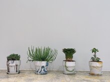 【2F】お気に入りを集めた、フレッシュなグリーン。