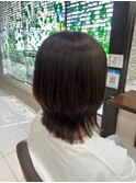 ミディアムウルフ