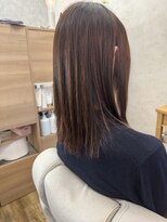 ガーベラ(gerbera)&nbsp;ミディアムレイヤー