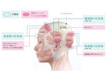 頭筋リリースヘッドスパは今までのヘッドスパの効果と何が違うの？