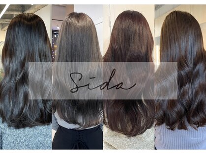 シダ(sida SAIIN)の写真