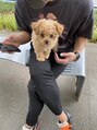 ヒロギンザ 六本木店(HIRO GINZA) うちの愛犬です！犬好きは是非語り合いましょう！