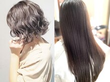 パピヨンロゼ(Papillon Rose)