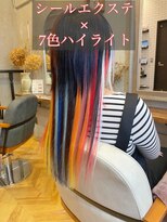 ラグシス ザ ヴィンテージ(LUXIS THE VINTAGE)&nbsp;【シールエクステ】7色ハイライト
