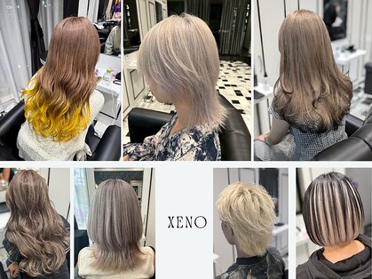 ゼノ(Xeno)の写真