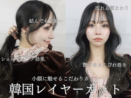 ハチ(HACHI)の写真