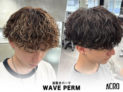 アクロ(ACRO)の写真
