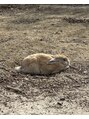 カーラ(kalah)&nbsp;動物好きです。動画もよく見ます。