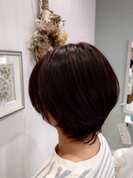 イチゴ アクロスプラザ昭島店(ICH GO) 柔らかショート