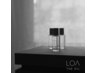 LOA THE OIL付きカット+カラー+oggiottoフルコース11工程+マイクロバブル