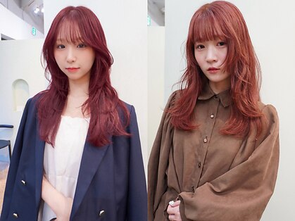 ノエマ(NOEMA)の写真