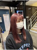 うる艶ストレート×ハイトーンカラー
