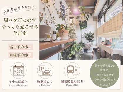 クー(kuu)の写真