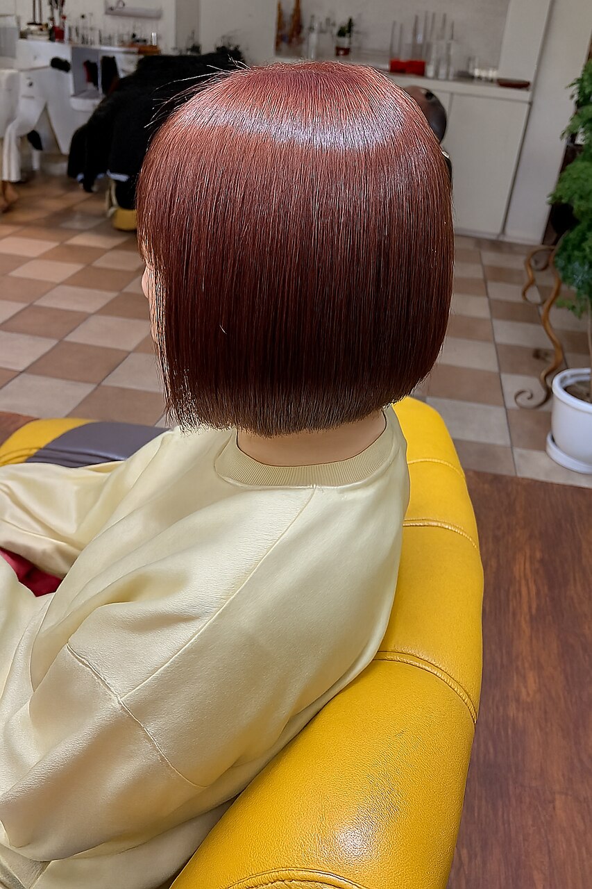 2026年夏】アディクシーカラーの髪型・ヘアアレンジ｜人気順