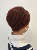 チェリーレッドショート