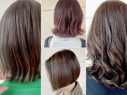 アジル(asile)の写真