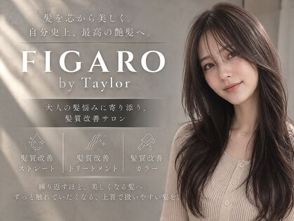 フィガロ バイ テイラー(FIGARO by Taylor)の写真