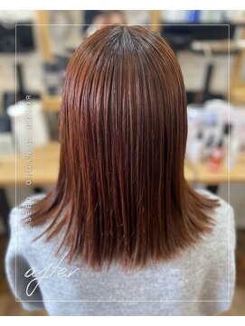 シード(SEED) オレンジブラウン