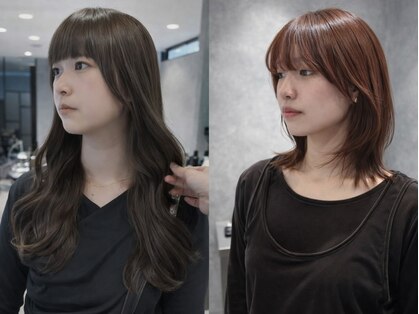 エディー(HEDI)の写真