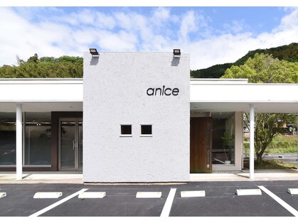 アニス(anice)の写真