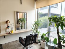 ネージュ(Neige)の雰囲気(緑豊かな観葉植物に囲まれた解放感あるれる店内)