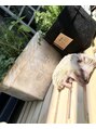 ドォール(d'Or) あまり懐いてくれないハリネズミと仲良く暮らしてます♪