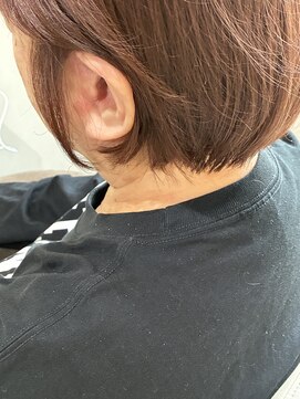 本と南風 guest design