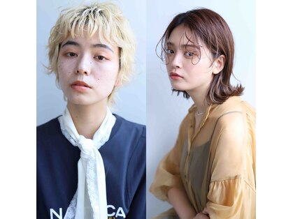 ヴェル(Vel.)の写真