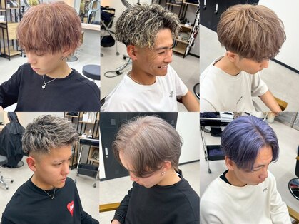 アリープパロット(ALEAP parrot)の写真