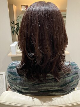 本と南風 guest design