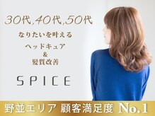 スパイス(SPICE)