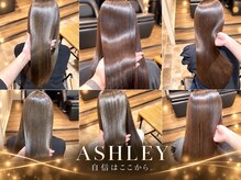 アシュレイ(ASHLEY)