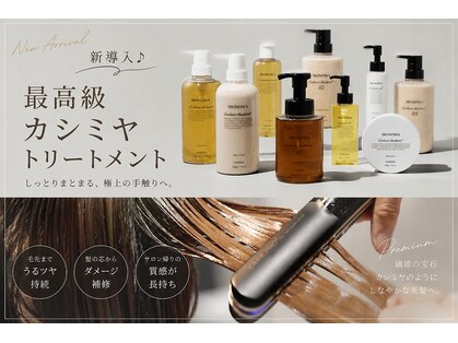 シエル(Ciel)の写真