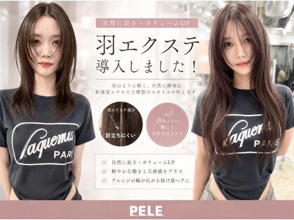 ペレ 原宿(PELE)の写真
