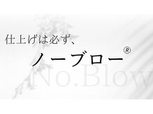 ノーブロー 酸性縮毛矯正専門技師(No.Blow)