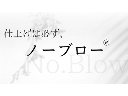 ノーブロー 酸性縮毛矯正専門技師(No.Blow)の写真