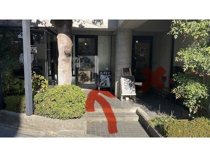 ノーム(NOAM)の写真