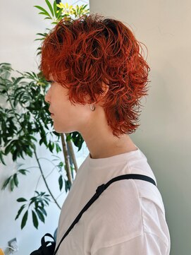 ホロ(hollo) ショートウルフパーマアプリカットプードルパーマ