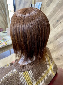 ルネッサンスヘアー ラファエロ(RAFFAELLO) プリミエンスカラー　ウォームベージュ春 color カラーチェンジ