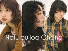 ナループロアオハナ(Nalu pu loa ohana)