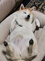 フェルナ(ferna) 実家で犬を飼っていたので動物が好きです。