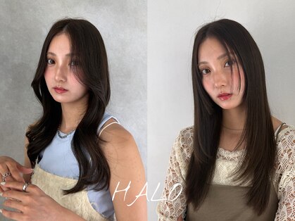 ハロ 蕨(HALO)の写真