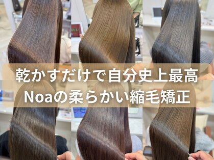 ノア 北浦和店(Noa)の写真