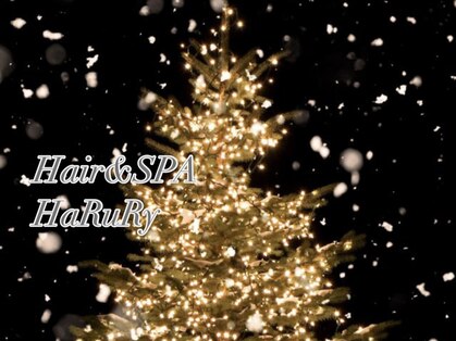 ハルリ(HaRuRy)の写真