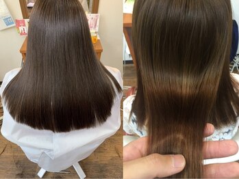 modesto 【モデスト】