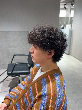 テクト バイアッシュ 吉祥寺店(Tect by Ash) プードルパーマウルフ