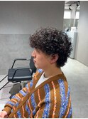 プードルパーマウルフ