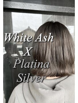 ネリネ(Nerine) シルバーアッシュ